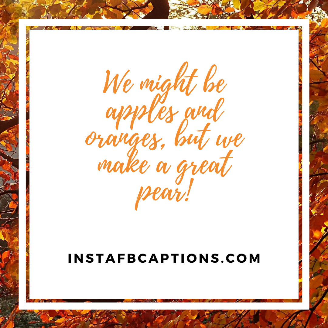 Amazing Apple Captions Instagram  - Amazing Apple Captions Instagram - APPLE Picking Instagram Captions and Quotes in 2022