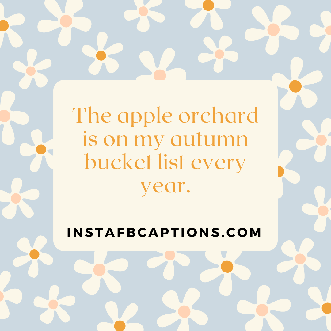Apple Picking Captions For Instagram Couples  - Apple Picking Captions For Instagram Couples - APPLE Picking Instagram Captions and Quotes in 2022
