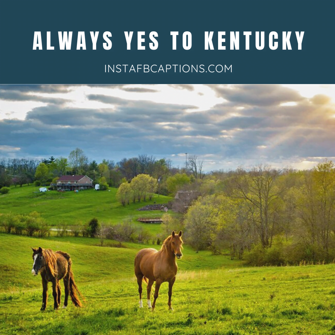 Cute Kentucky Derby Captions (2)  - Cute Kentucky Derby Captions 2 - 85 Kentucky Instagram Captions, Quotes, Hashtags in 2023