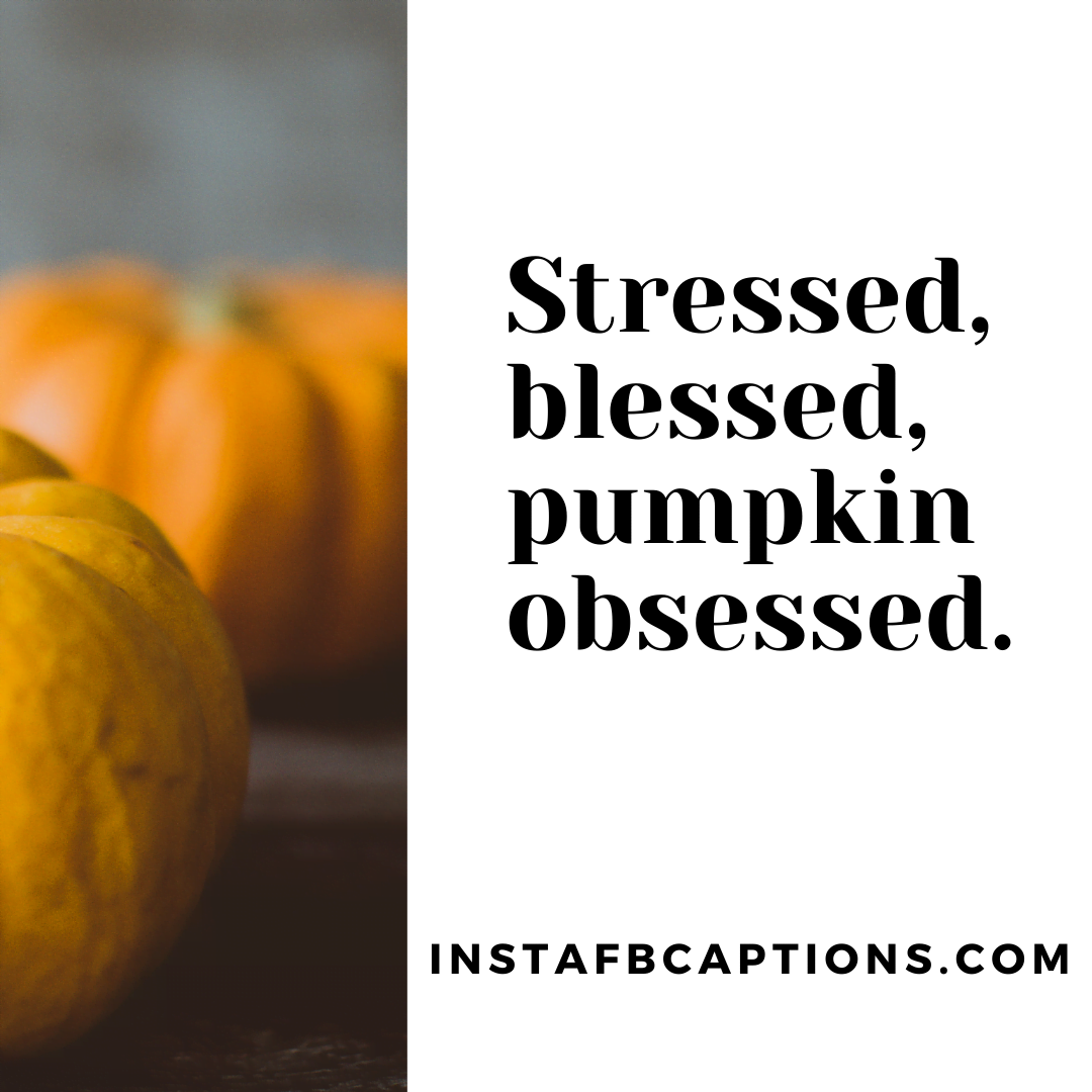Cute Pumpkin Catch Captions For Babies  - Cute Pumpkin Catch Captions For Babies - 36 Gourd-Geous Pumpkin Instagram Captions in 2022