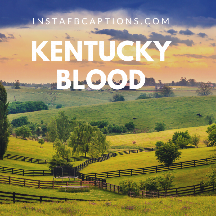 85 Kentucky Instagram Captions, Quotes, Hashtags in 2024