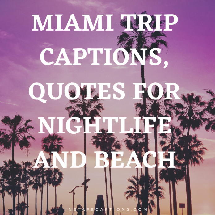 Miami Captions Quotes For Nightlife And Beach