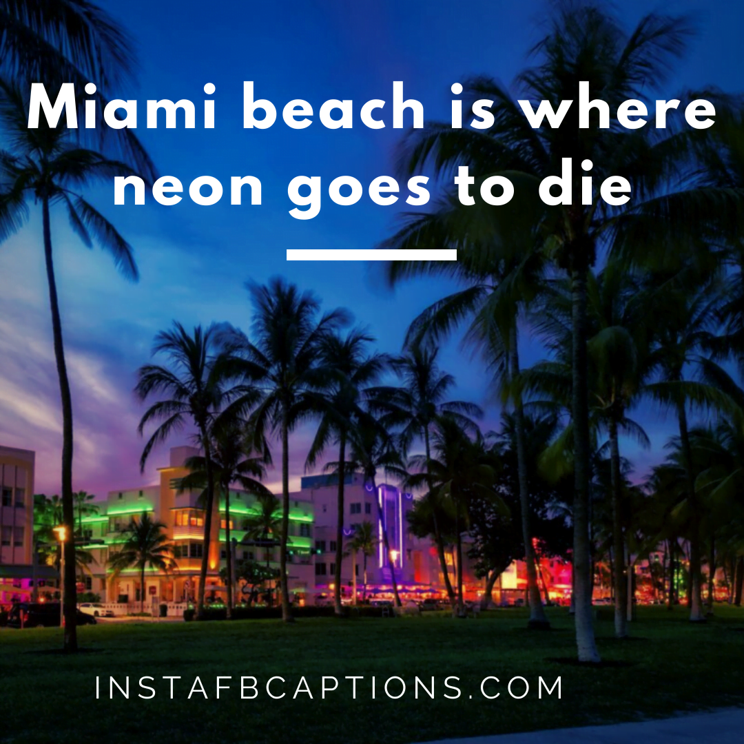 Song Lyrics Captions For Miami  - Song Lyrics Captions for Miami - 101 Miami Instagram Captions for Beach and Nightlife 2022