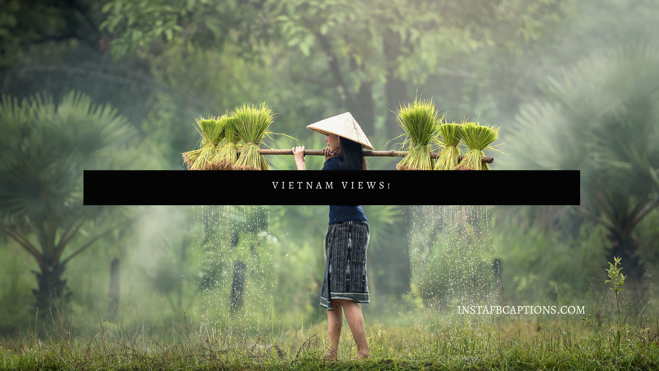 Crispy And Short Vietnam Captions  - Crispy and Short Vietnam Captions  - Vietnam Instagram Captions for Tasty Food in 2023