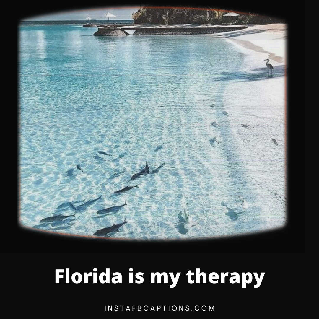 Florida is my therapy  - Florida Beach Captions - 80+ Best Florida Instagram Captions &amp; Quotes in 2023