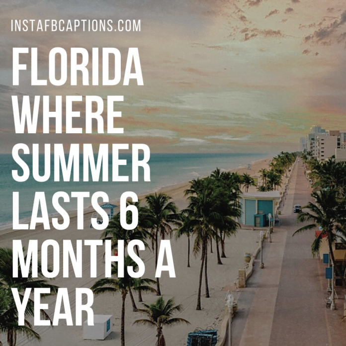 80+ Best Florida Instagram Captions & Quotes in 2024