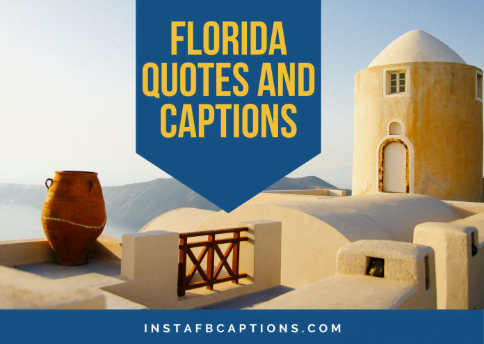 Florida Quotes And Captions