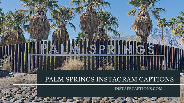 Palm Springs Instagram Captions