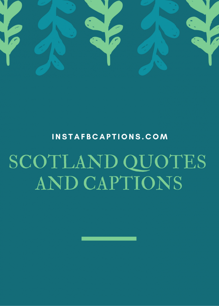 Scotland Quotes And Captions