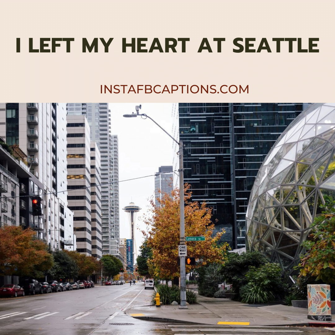 Seattle City Quotes  - Seattle City Quotes 1 - 72+ Seattle Instagram Captions and Quotes in 2023