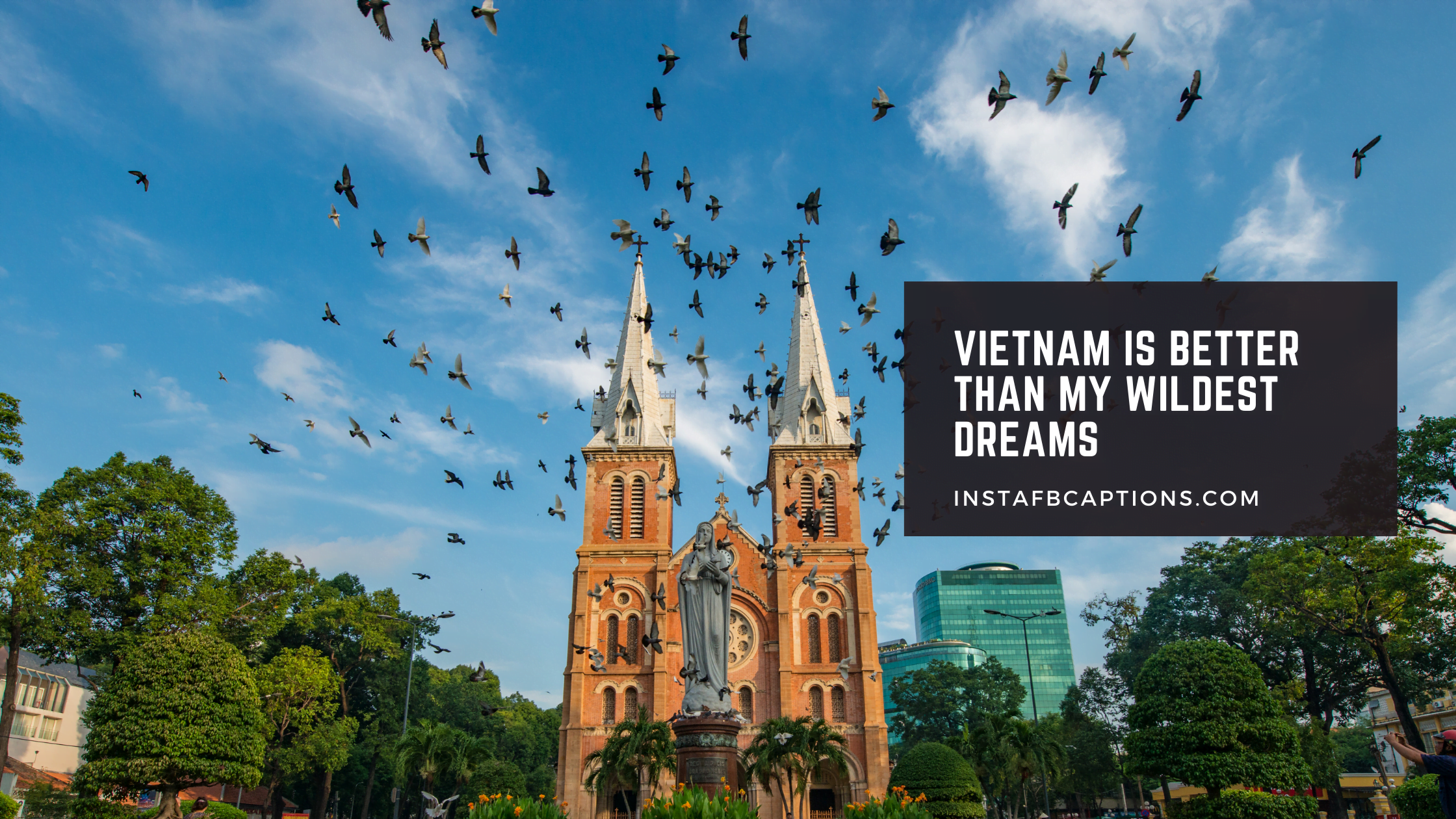 Witty Vietnam Captions  - Witty Vietnam Captions  - Vietnam Instagram Captions for Tasty Food in 2023