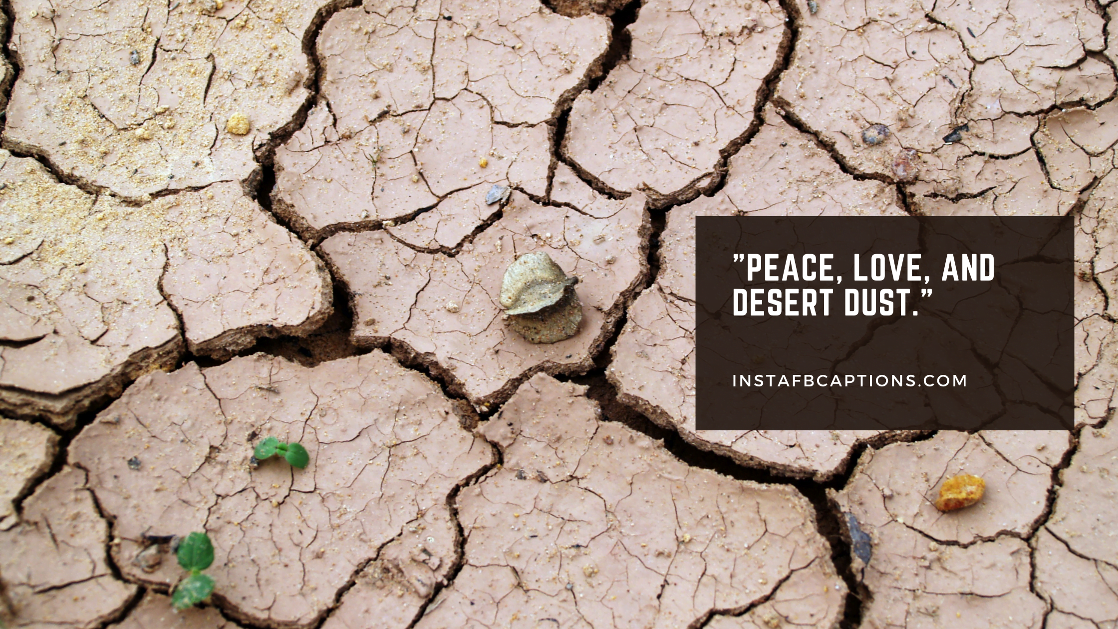 Death Valley Desert Captions  - Death Valley Desert Captions  - Death Valley Instagram Captions in 2022