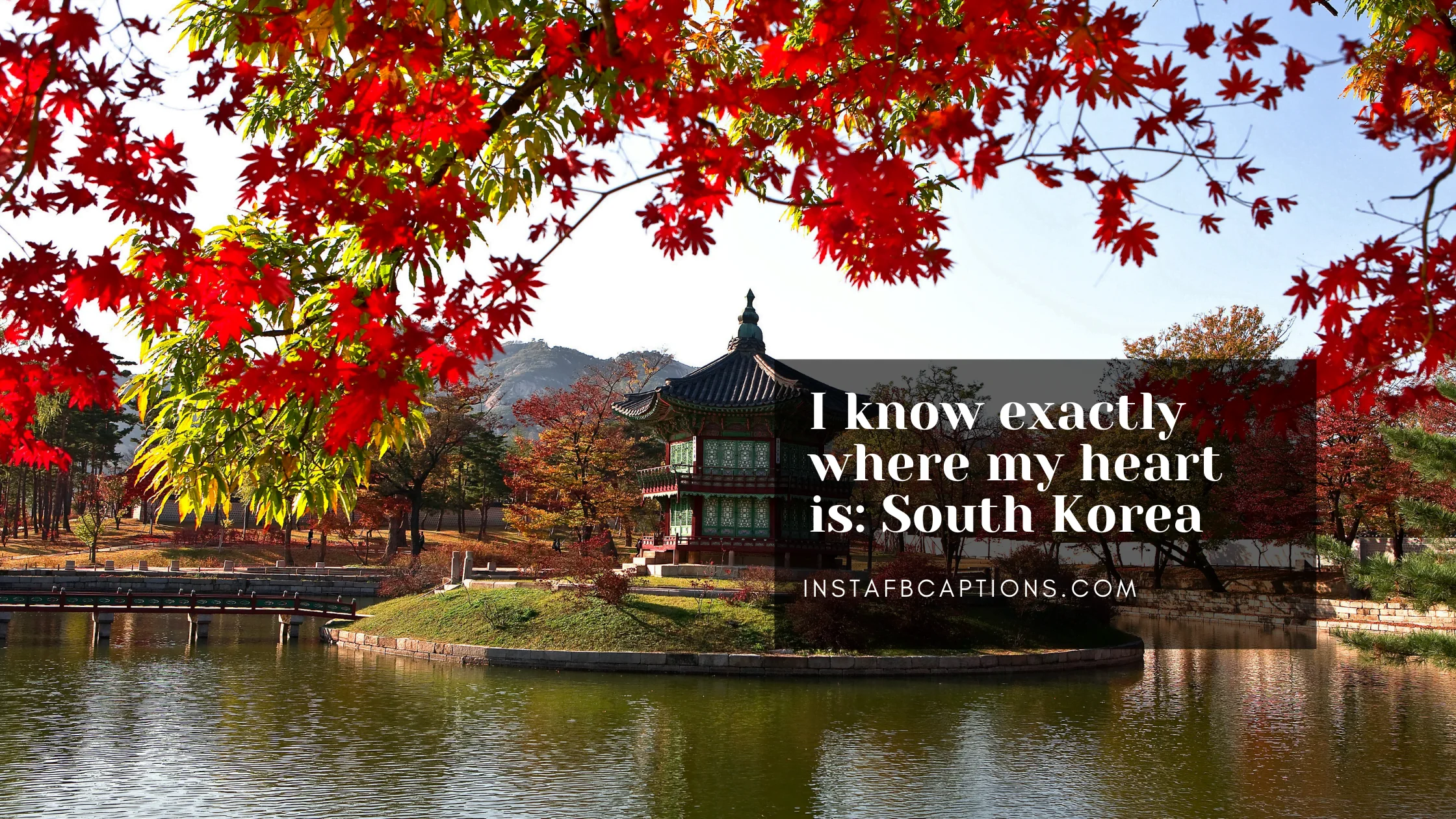 Floral background, a pond and a caption written - I know exactly where my heart is: South Korea  - Everland South Korea Captions - [New] Spectacular South Korea Captions &#8211; For Your Trip In 2024