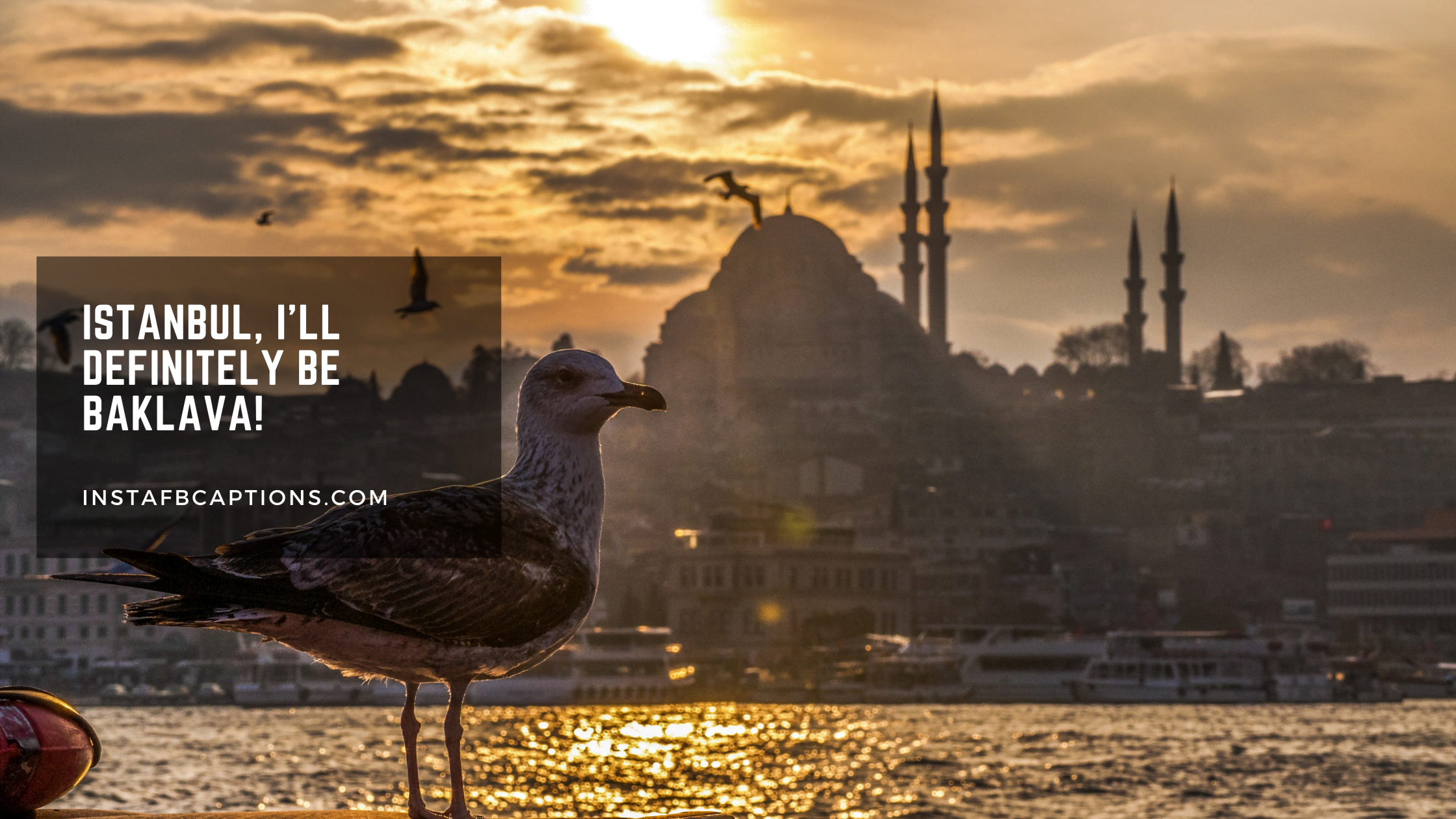 Hilarious Istanbul Puns  - Hilarious Istanbul Puns  - [98+] Istanbul Captions for Instagram in 2023