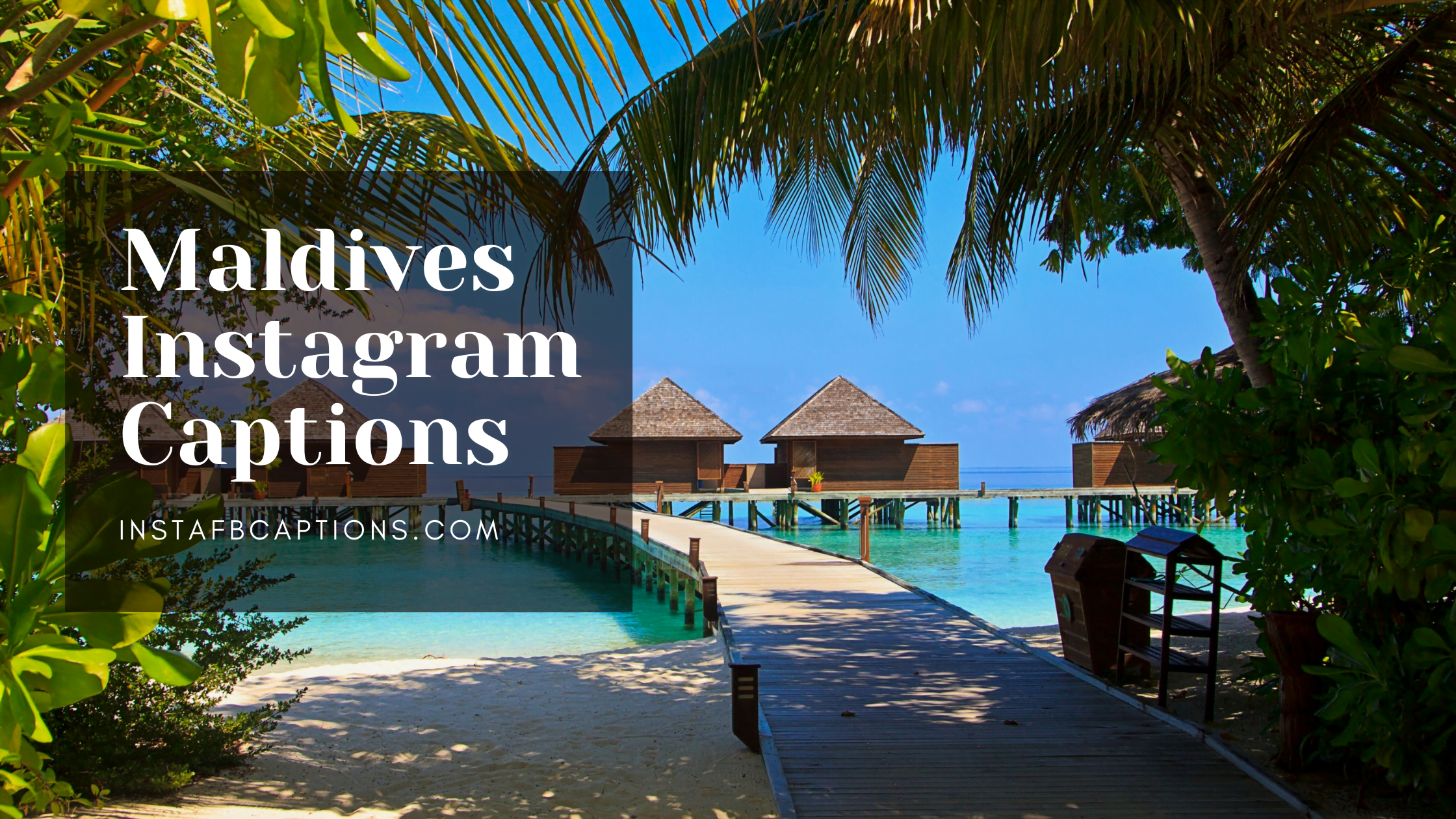 Maldives Instagram Captions  - Maldives Instagram Captions - Maldives Instagram Captions for Vacation Pictures in 2023