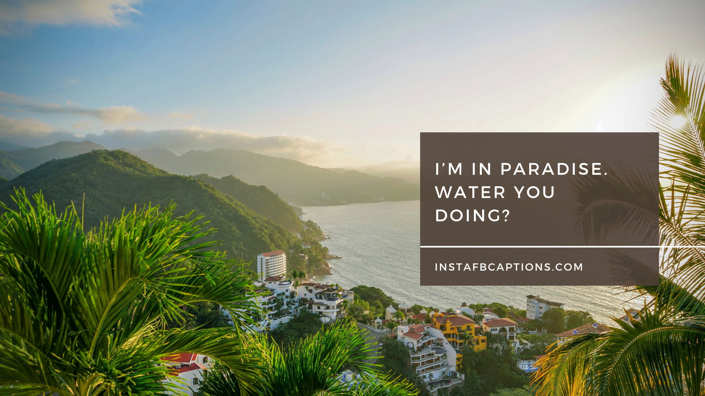 Puns Related To Puerto Vallarta  - Puns Related to Puerto Vallarta - 76 Puerto Vallarta Instagram Captions in 2022