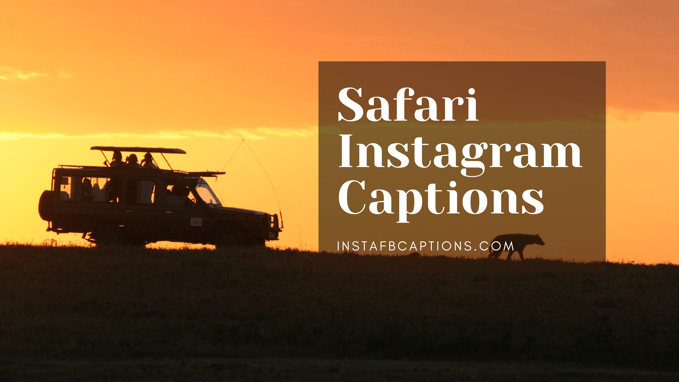 Safari Instagram Captions  - Safari Instagram Captions - 98 Captions for JEEP SAFARI Instagram Pics in 2023