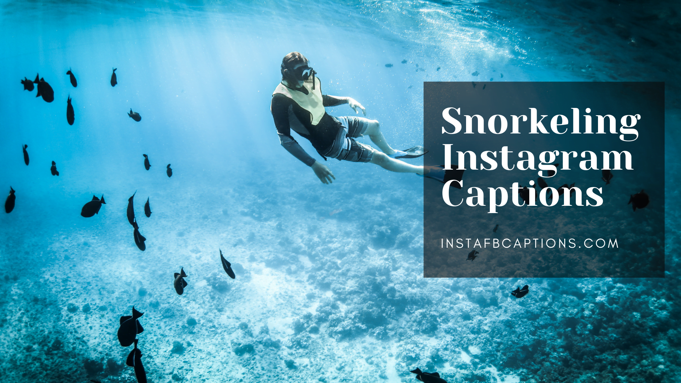 Snorkeling Instagram Captions  - Snorkeling Instagram Captions - [New] Snorkeling Captions for Instagram in 2023