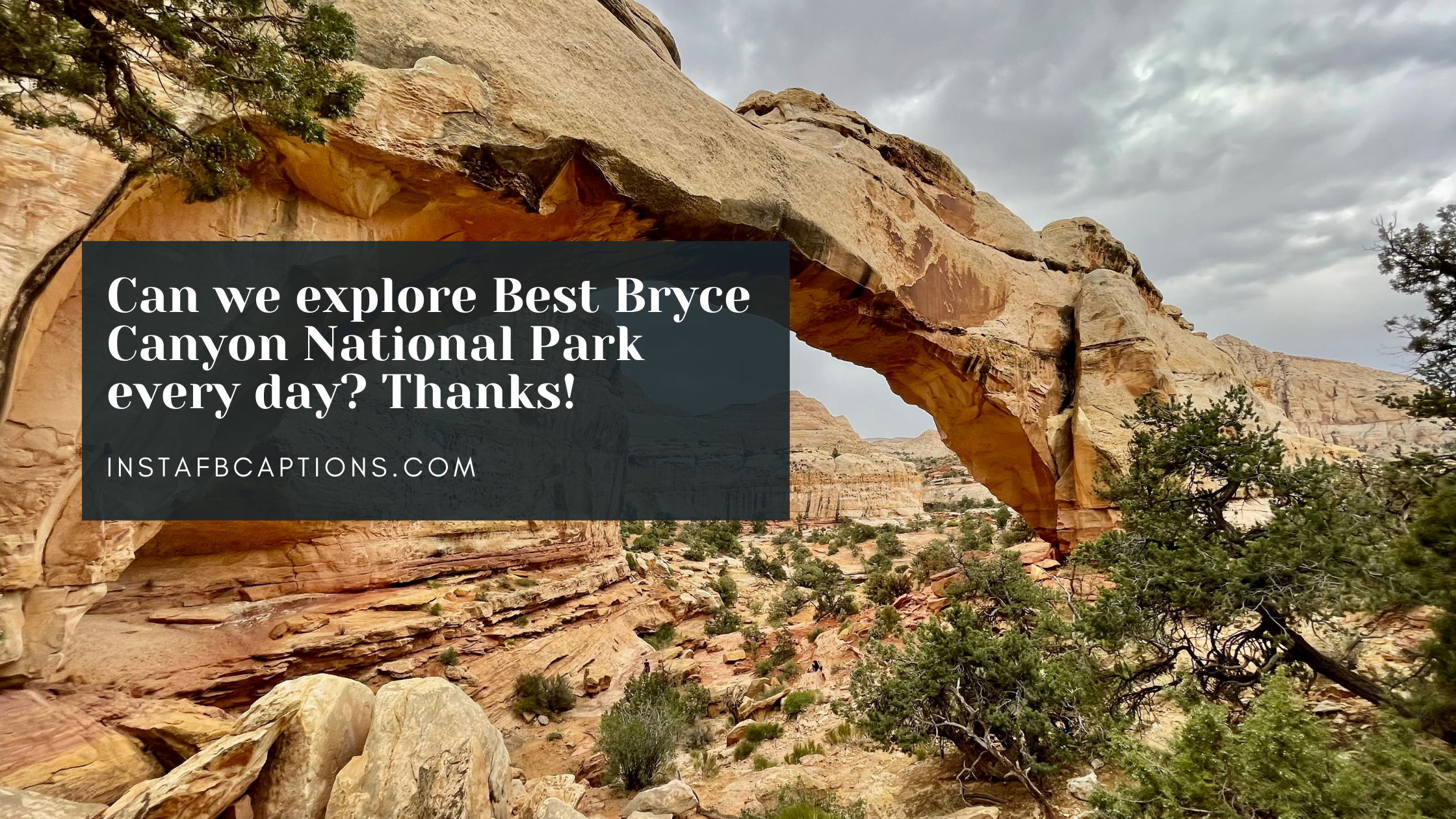 Some Of The Best Bryce Canyon National Park Captions  - Some of the Best Bryce Canyon National Park Captions  - 88 Bryce Canyon National Park Instagram Captions in 2023