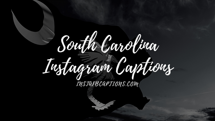 South Carolina Instagram Captions