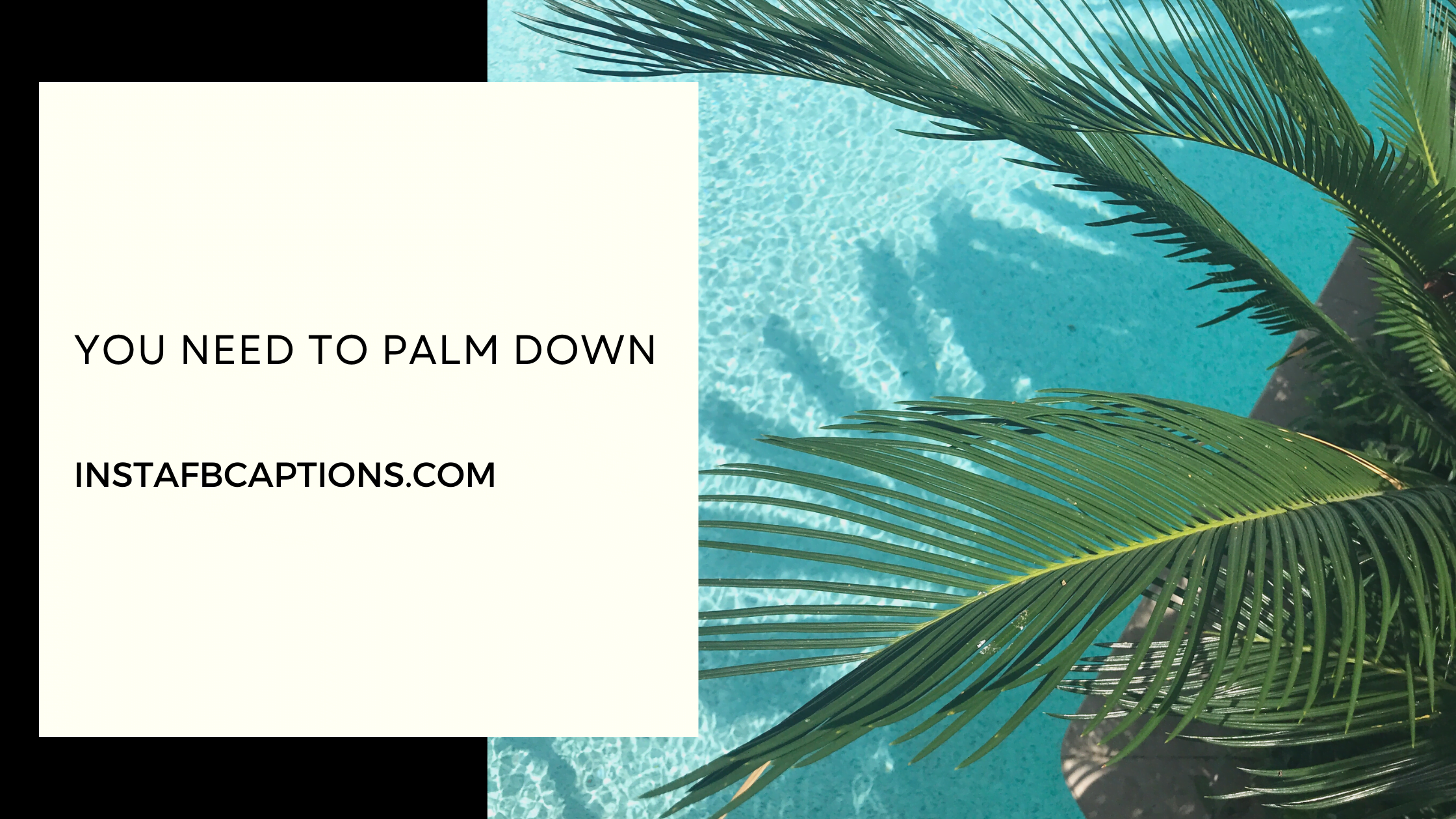 Amazing Palm Tree Puns  - Amazing Palm Tree Puns  - 97 Palm Tree Instagram Captions Quotes Hashtags in 2023