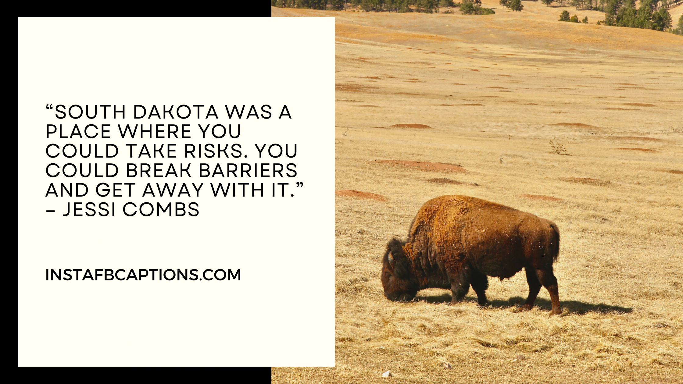 Amazing South Dakota Quotes  - Amazing South Dakota Quotes 1 - South Dakota Instagram Captions &#038; Quotes in 2023
