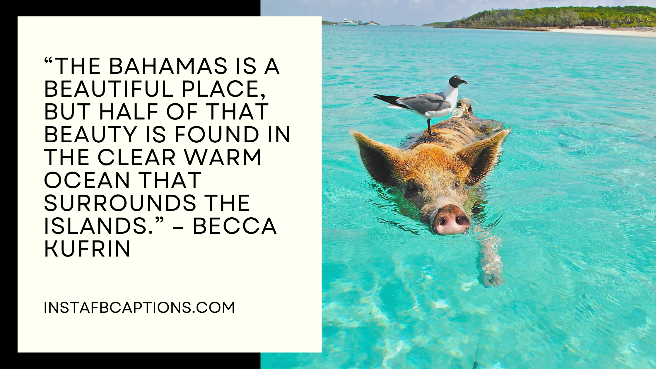 Bahamas Quotes  - Bahamas Quotes  - Bahamas Instagram Captions &#038; Quotes to Ignite Your Wanderlust