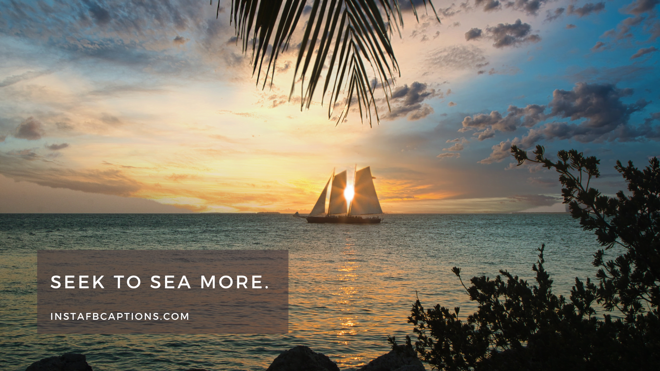 Seek to sea more.  - Best Key West Captions  - 98 Key West Quotes, Captions, Puns, Phrases for 2023