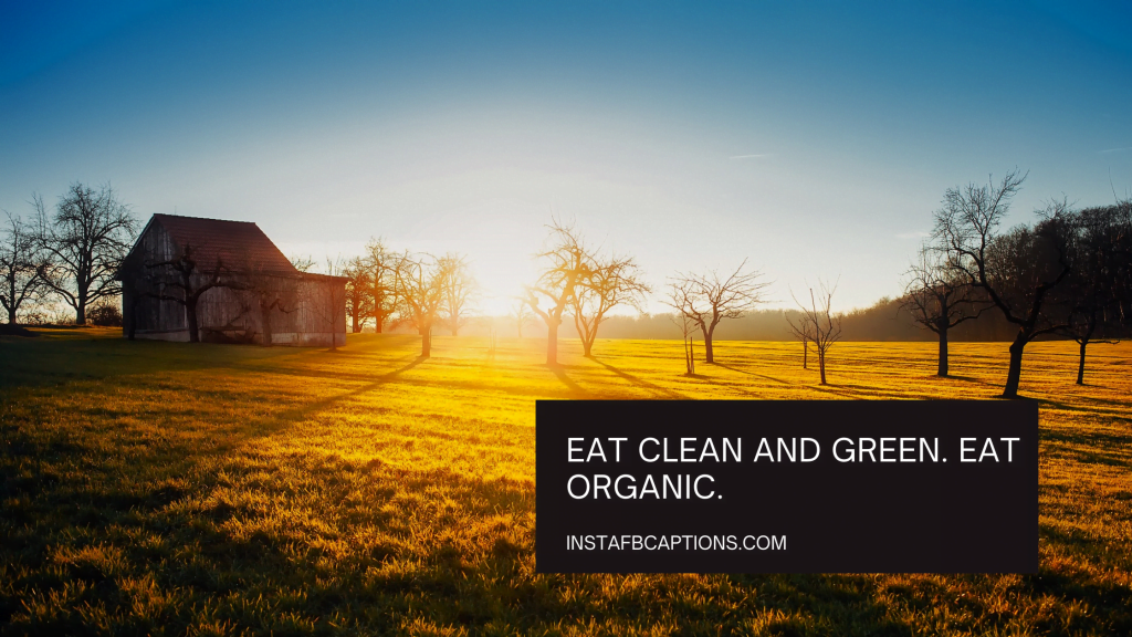 102 FARM Instagram Captions Quotes in 2024 InstaFbCaptions Best