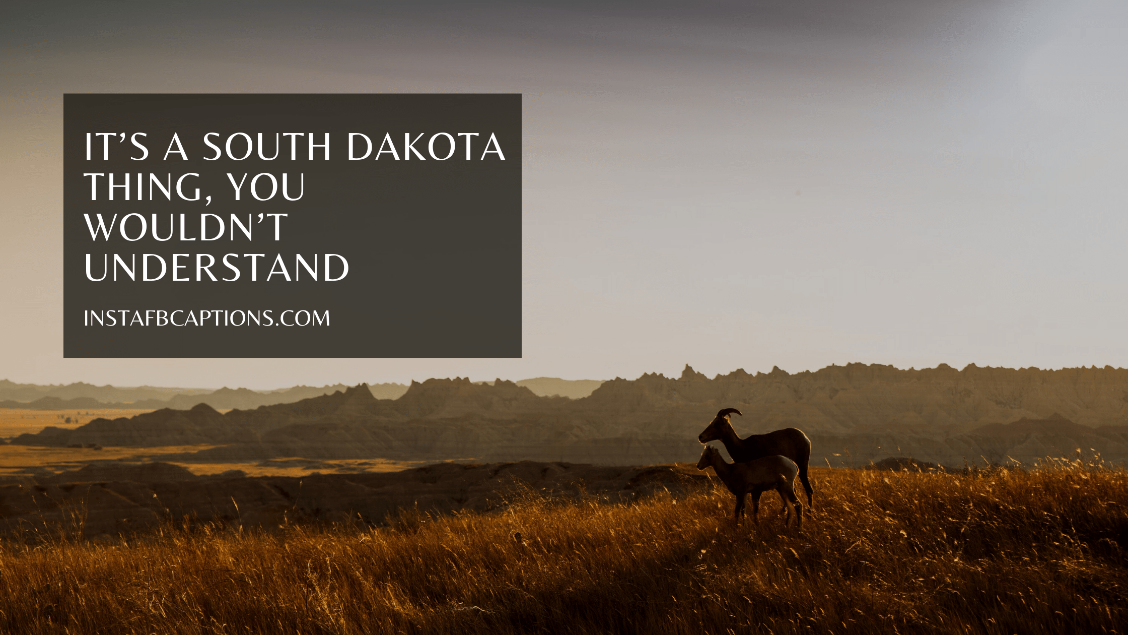Cute South Dakota Captions  - Cute South Dakota Captions  - South Dakota Instagram Captions &#038; Quotes in 2022