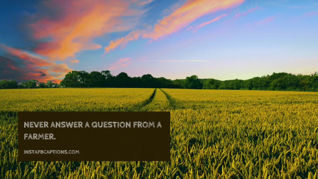 102 FARM Instagram Captions Quotes in 2024 InstaFbCaptions Best Instagram Captions 2024