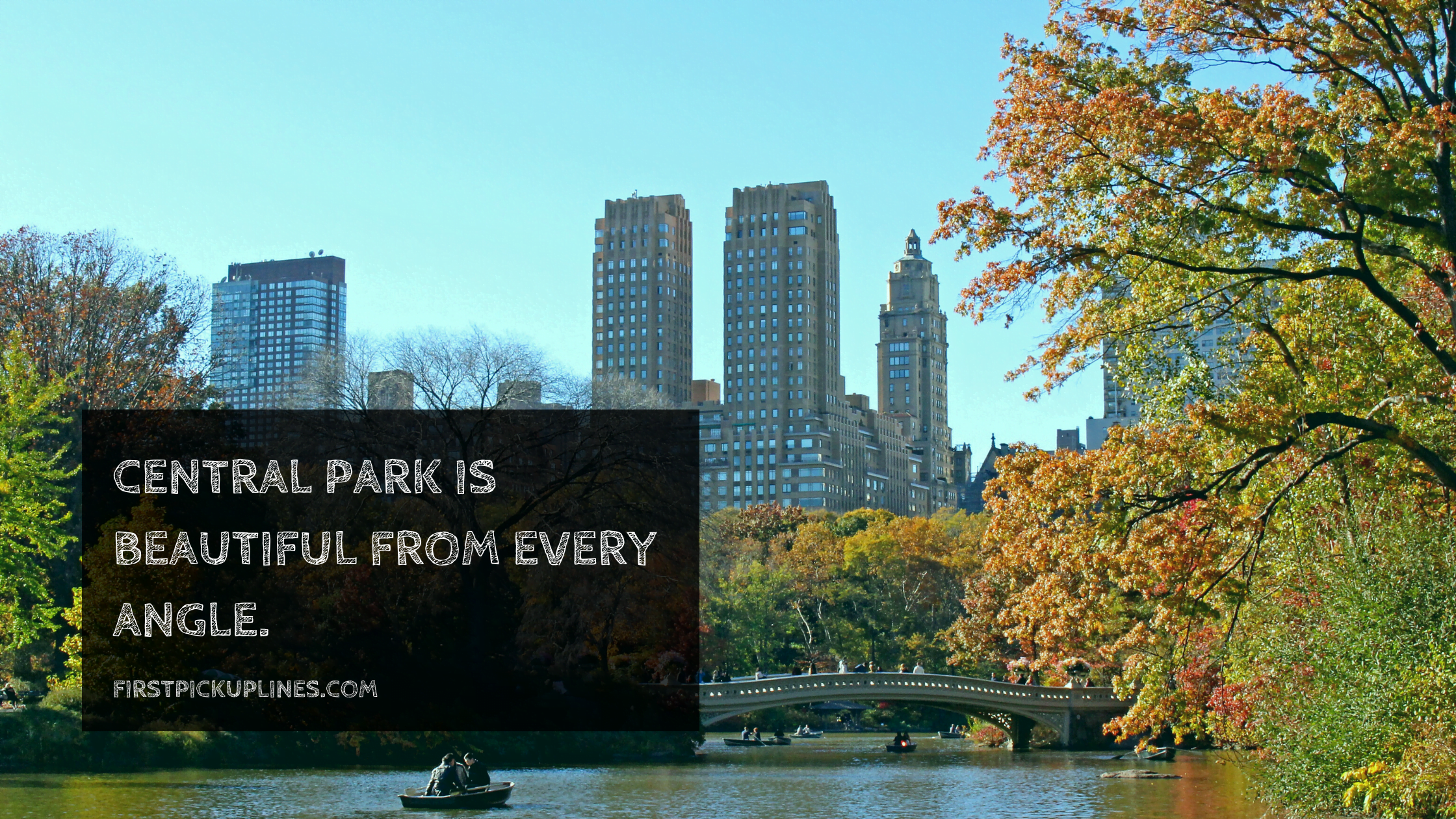 Good Central Park Captions  - Good Central Park Captions  - 98 Central Park Instagram Captions in 2022