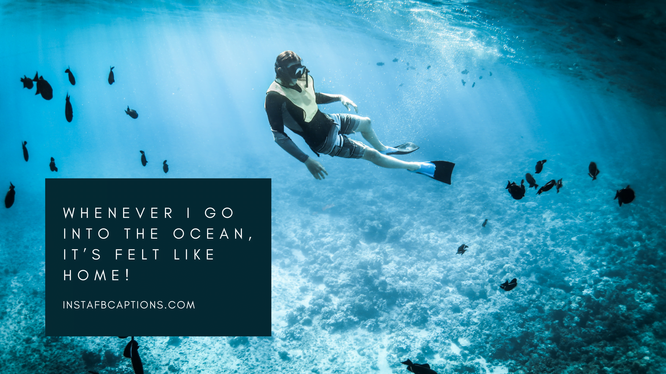 Whenever I go into the ocean, it’s felt like HOME!  - Key West Diving Captions  - 98 Key West Quotes, Captions, Puns, Phrases for 2023