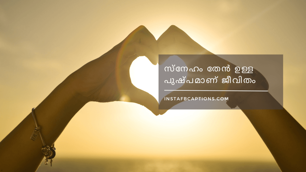 120+ Malayalam Captions & Quotes For Instagram In 2024