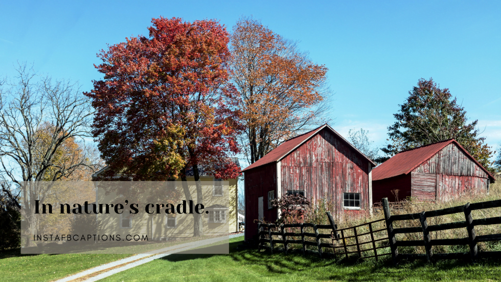 Rural Captions on Instagram Discovering the Village Life in 2024