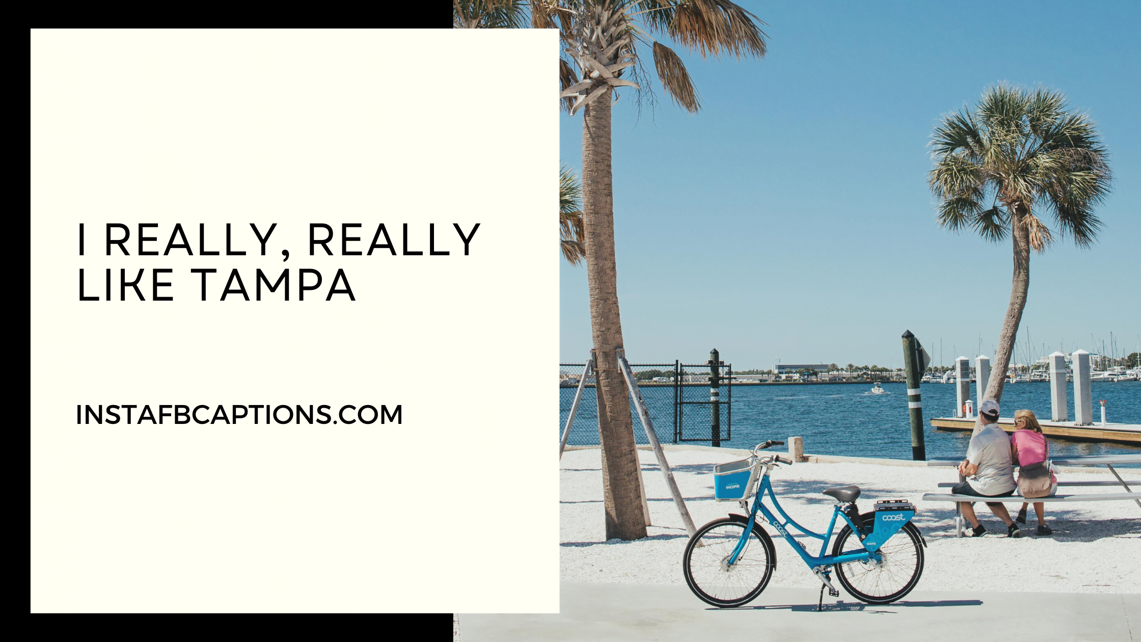 Short Tampa Captions  - Short Tampa Captions  - 142 Tampa Instagram Captions Quotes 2023