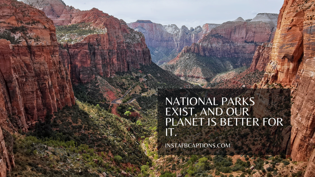 123 Zion National Park Captions for Instagram in 2024