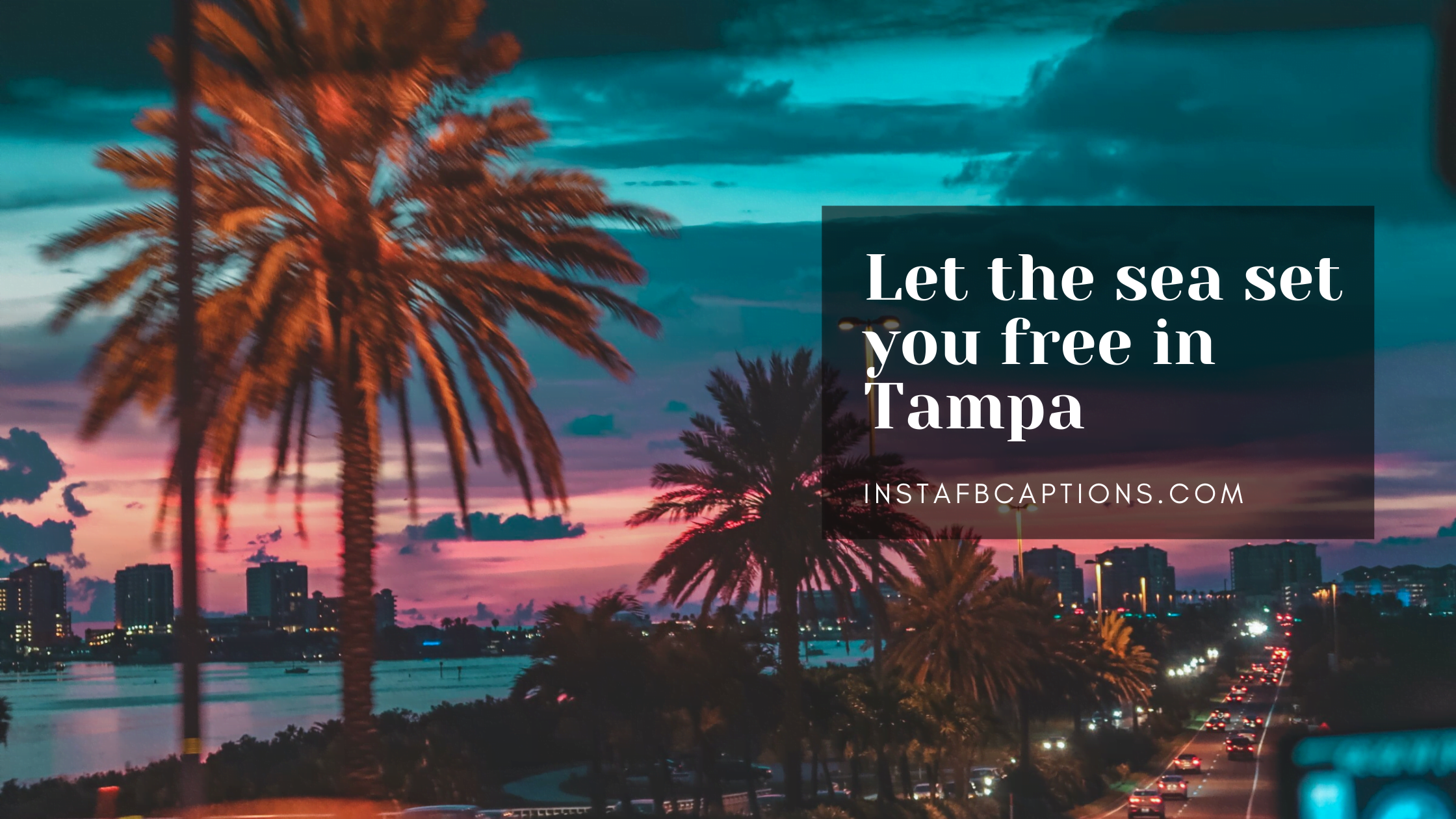 Tampa Quotes And Captions  - Tampa Quotes and Captions - 142 Tampa Instagram Captions Quotes 2023