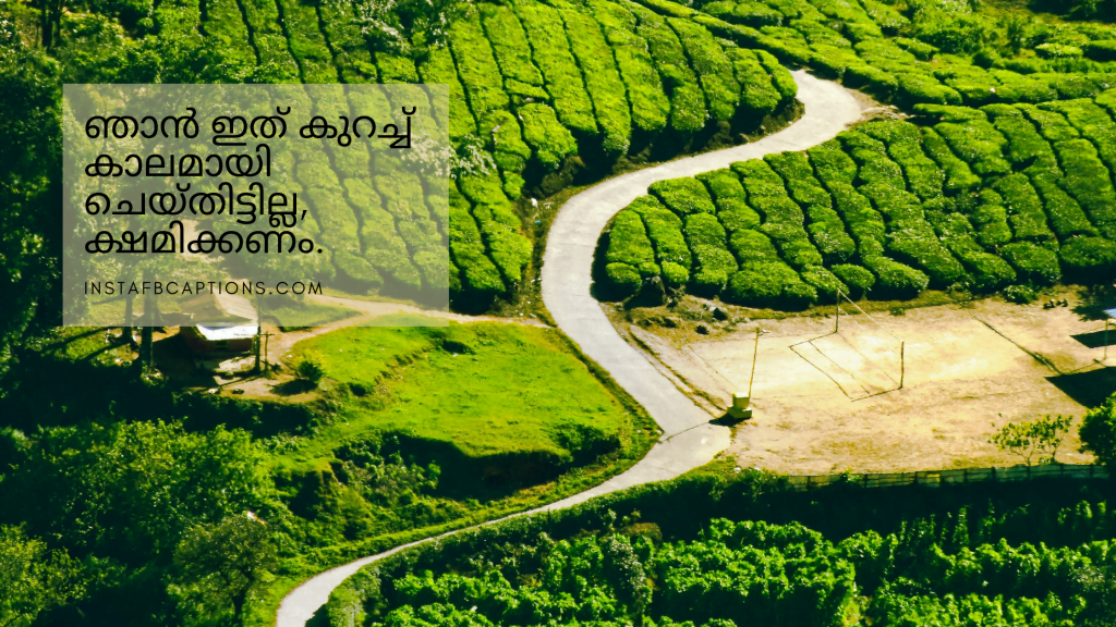 120+ Malayalam Captions & Quotes For Instagram In 2024 InstaFbCaptions Best Instagram