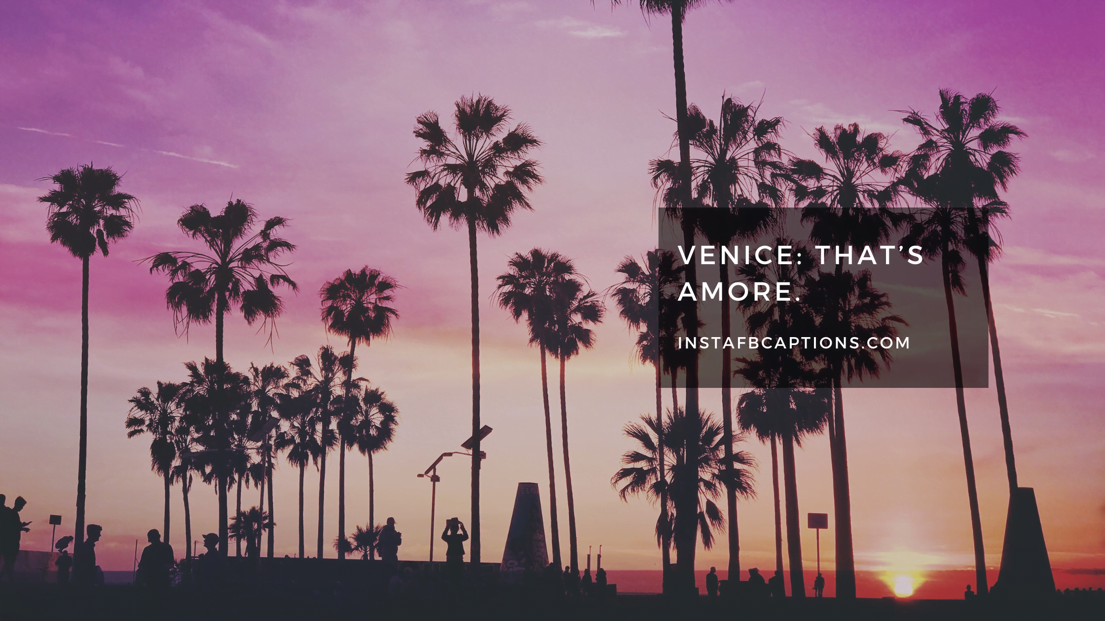 Venice Beach Captions  - Venice Beach Captions  - 85 Venice Instagram Captions for Beach Pics 2023