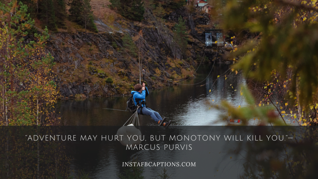 99 Ziplining Instagram Captions for Crazy Pictures in 2024