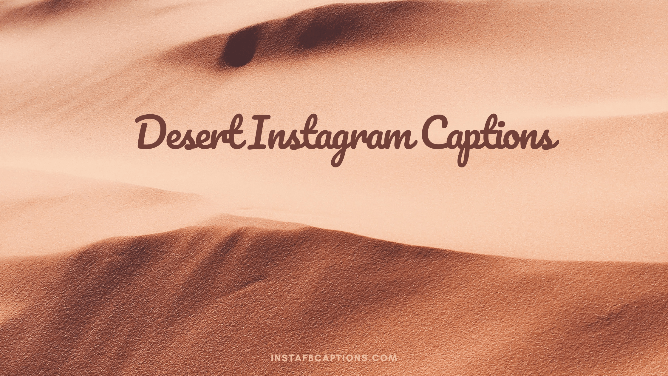 Desert Instagram Captions  - Desert Instagram Captions - 92 Desert Instagram Captions Quotes in 2023