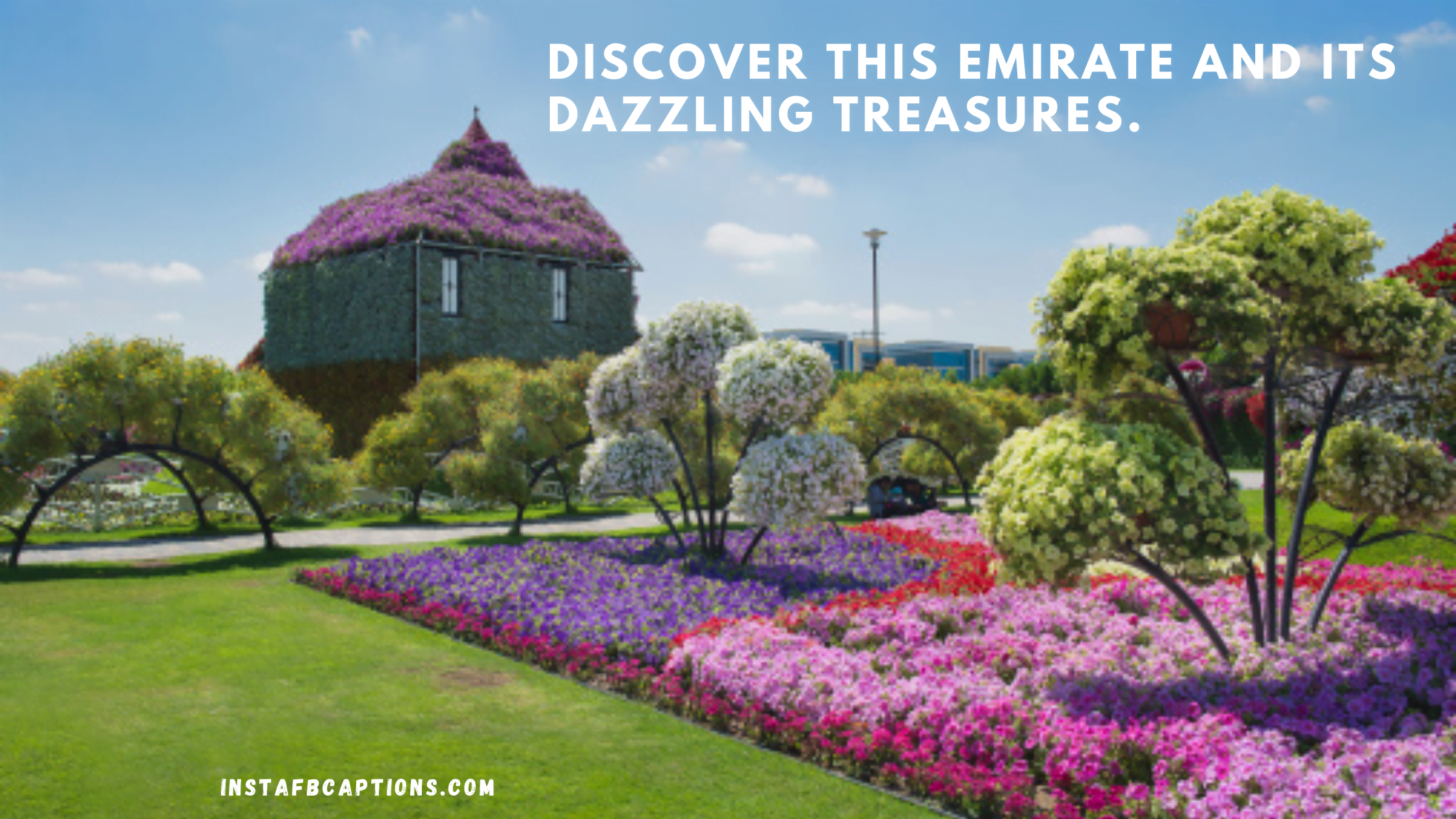 Top Captions For Dubai Travel Places Like Miracle Garde  - Top Captions For Dubai Travel Places Like Miracle Garden - 94 Dubai Instagram Captions Quotes in 2023