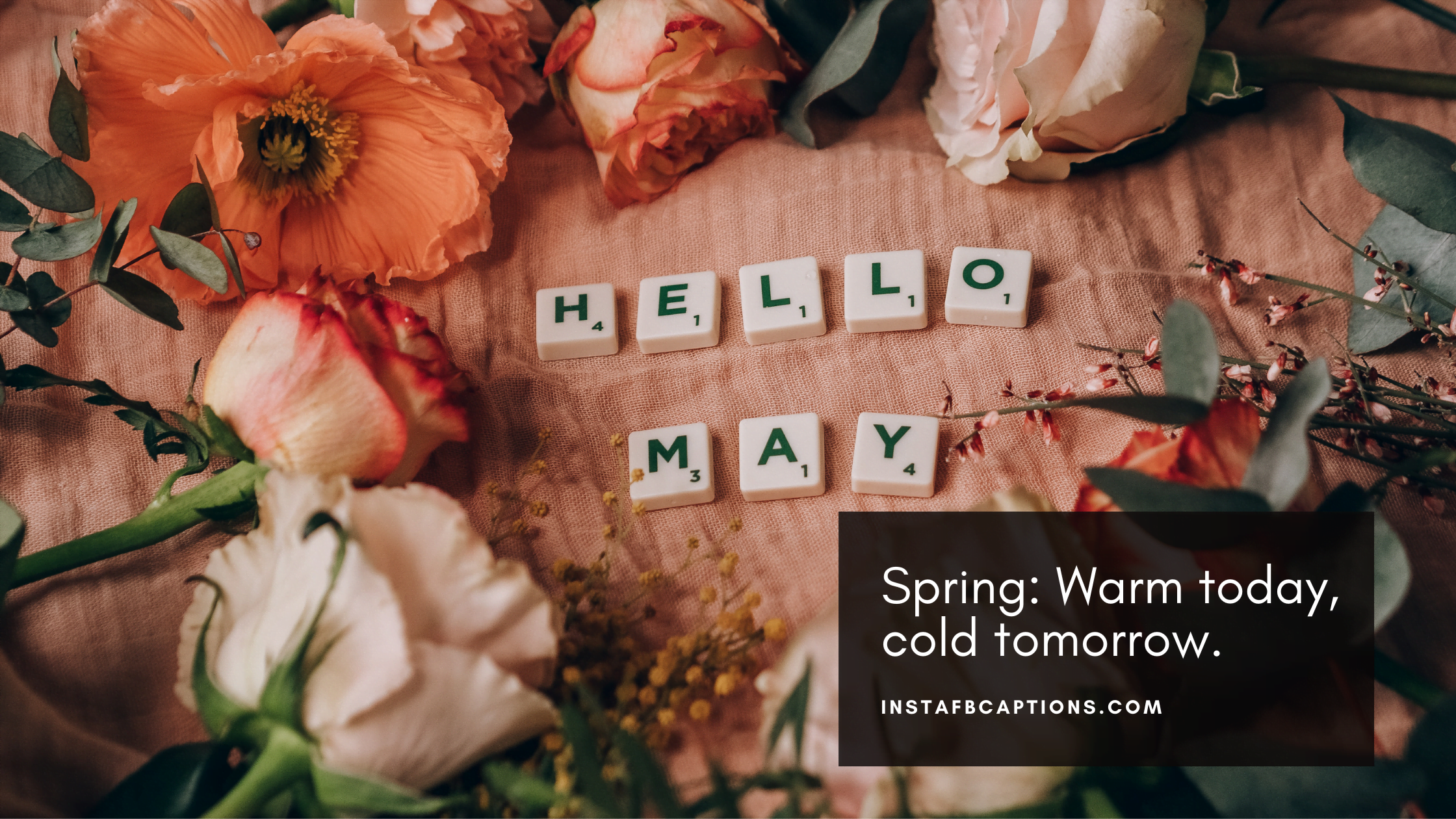 Happy May Captions  - Happy May Captions - 50+ MAY Instagram Captions and Quotes 2022