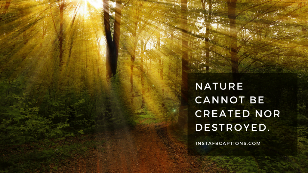 Embrace the Outdoors Creative Instagram Captions for Nature Lovers
