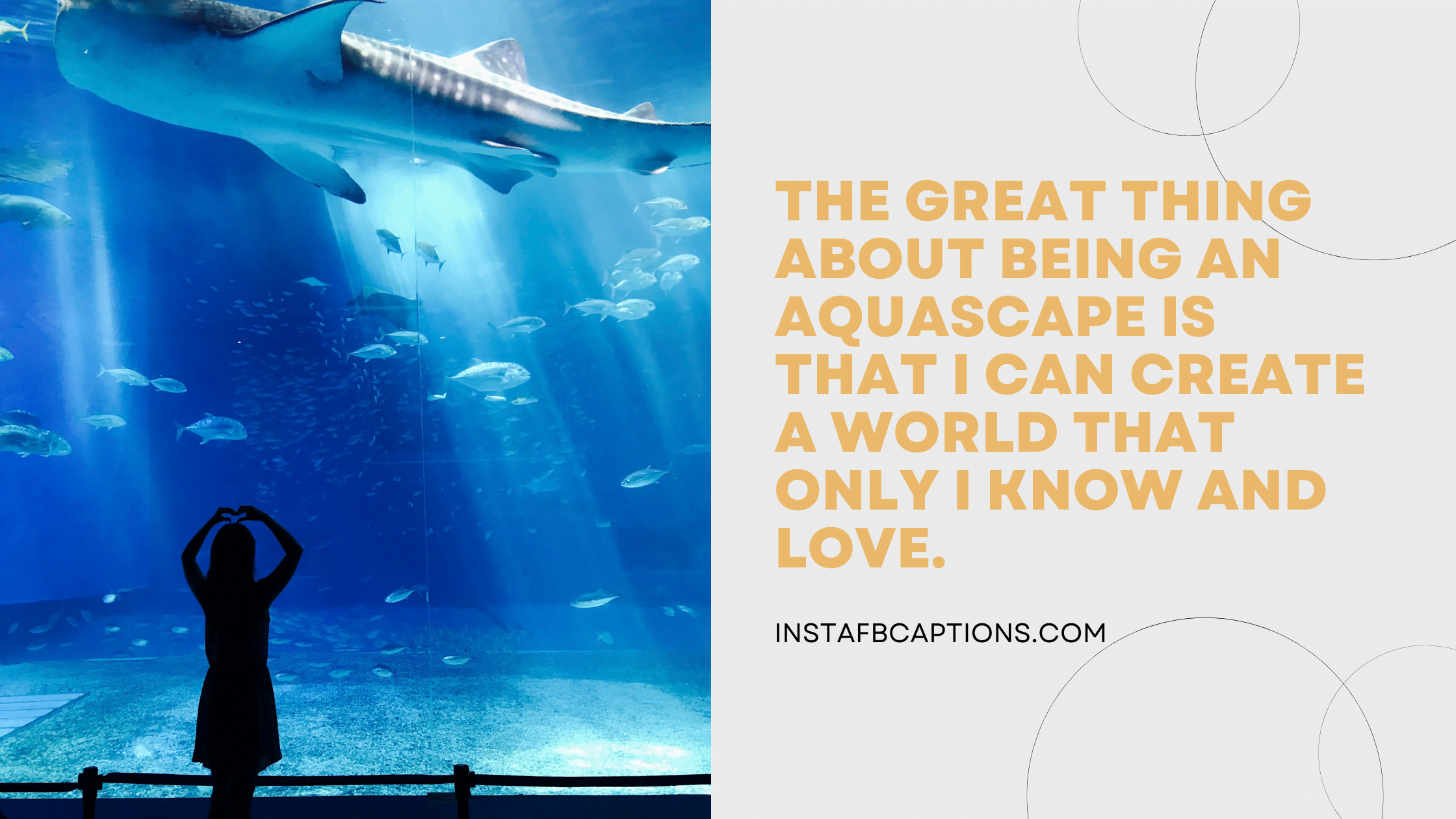 Aquarium Quotes About Life  - Aquarium Quotes About Life - [New] Fish Aquarium Captions Quotes for Instagram in 2023