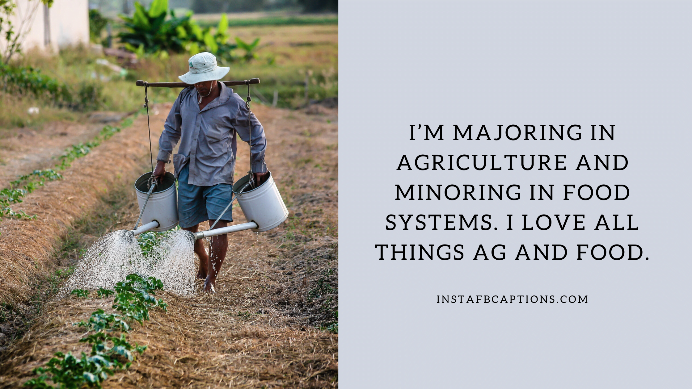 Instagram Bio For Aspiring Farmer Boy  - Instagram Bio for Aspiring Farmer Boy - [New] Instagram Bio for Agriculture Students in 2023